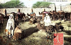 Images d'Algerie 184